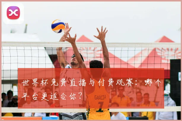 世界杯免费直播与付费观赛:哪个平台更适合你?
