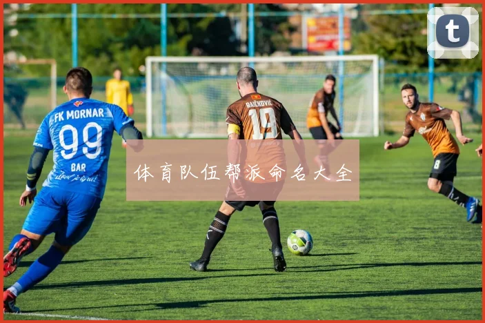 体育队伍帮派命名大全