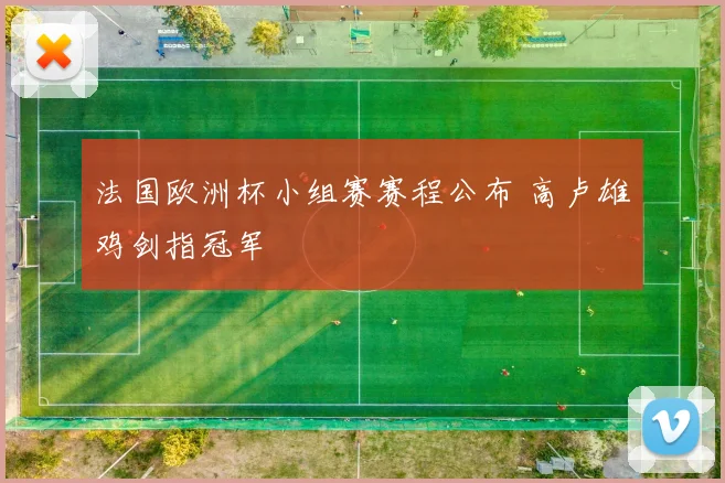 法国欧洲杯小组赛赛程公布 高卢雄鸡剑指冠军