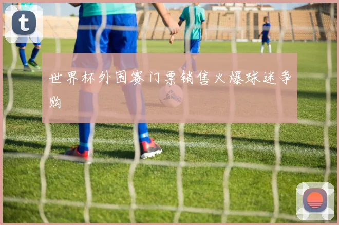 世界杯外围赛门票销售火爆球迷争购