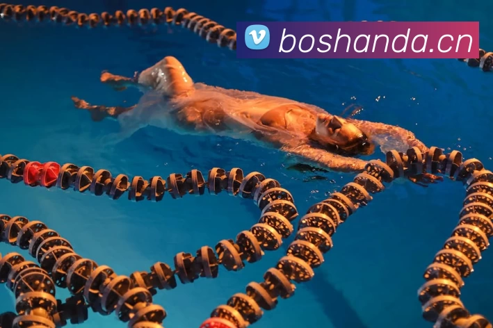 尊龙凯时 - 人生就是搏!发展历程